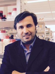 賓州州立大學研究人員3D打印多孔組織鏈讓軟骨再生 賓州州立大學研究人員3D打印多孔組織鏈讓軟骨再生